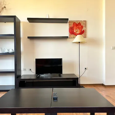 Neon Luxury Next To The Gondola 班斯科